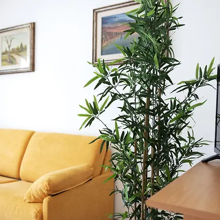 We - Milli House Rimini